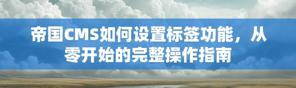 帝国CMS如何设置标签功能,从零开始的完整操作指南