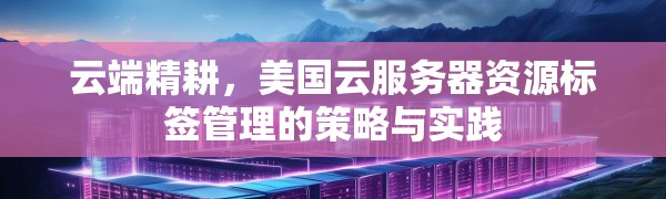 云端精耕,美国云服务器资源标签管理的策略与实践